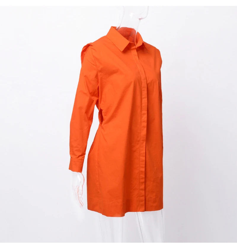 Tunic Button Up Loose Ladies Blouse